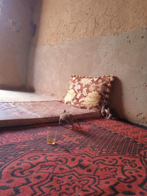 Camp silence de desert